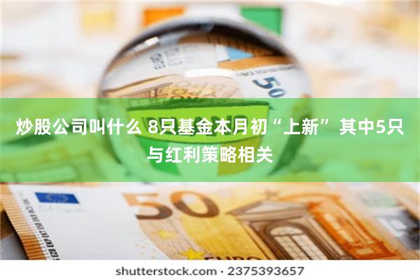 炒股公司叫什么 8只基金本月初“上新” 其中5只与红利策略相关