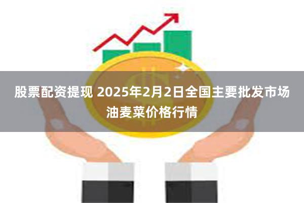 股票配资提现 2025年2月2日全国主要批发市场油麦菜价格行情