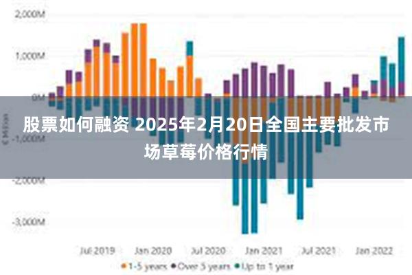 股票如何融资 2025年2月20日全国主要批发市场草莓价格行情