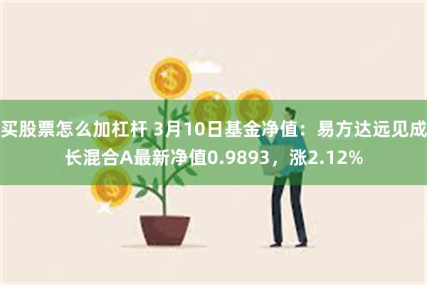 买股票怎么加杠杆 3月10日基金净值：易方达远见成长混合A最新净值0.9893，涨2.12%