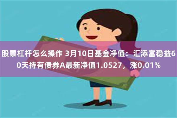 股票杠杆怎么操作 3月10日基金净值：汇添富稳益60天持有债券A最新净值1.0527，涨0.01%