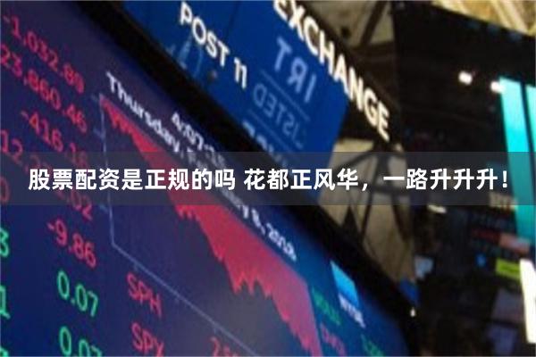 股票配资是正规的吗 花都正风华，一路升升升！