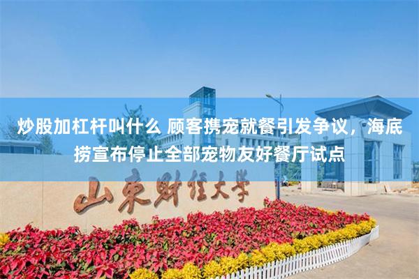 炒股加杠杆叫什么 顾客携宠就餐引发争议，海底捞宣布停止全部宠物友好餐厅试点