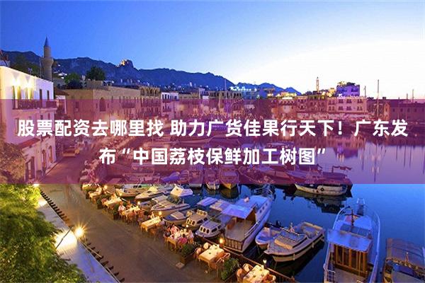 股票配资去哪里找 助力广货佳果行天下！广东发布“中国荔枝保鲜加工树图”